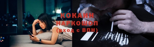 крисы Алексин