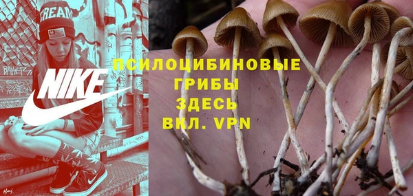крисы Алексин