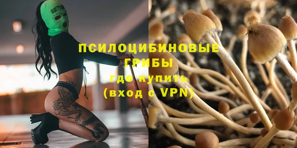 дмт Алексеевка
