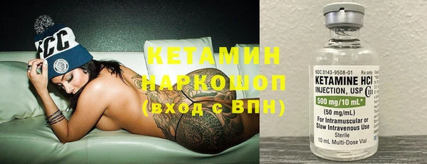 крисы Алексин