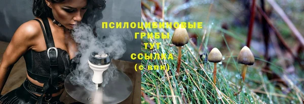 крисы Алексин