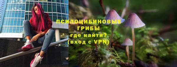 дмт Алексеевка