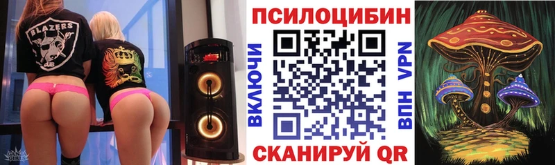 Псилоцибиновые грибы Psilocybine cubensis  мега онион  Александровское 